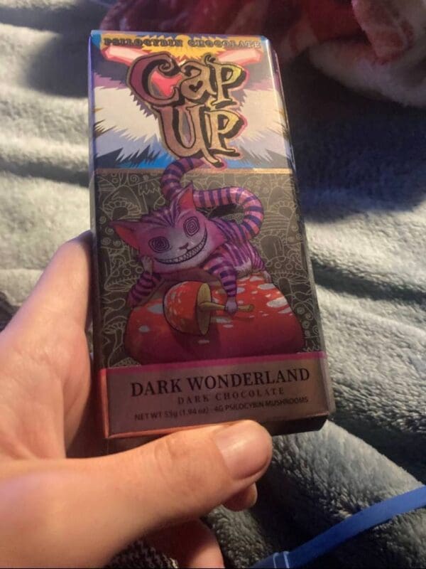 cap up chocolate, cap up chocolate wonderland, cap up mushroom chocolate,